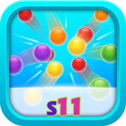 s11